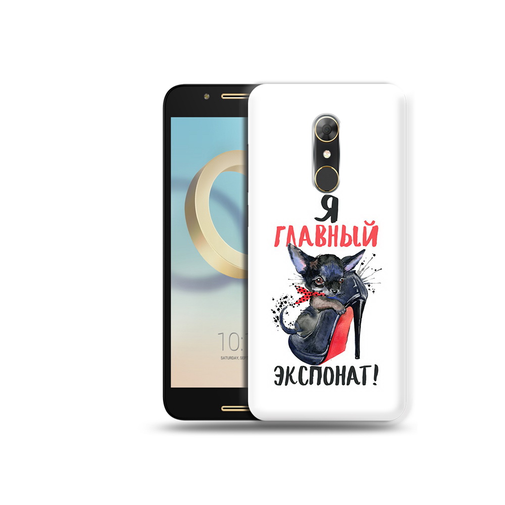 

Чехол MyPads Tocco для Alcatel A7 главный экспонат (PT133991.671.288), Прозрачный, Tocco