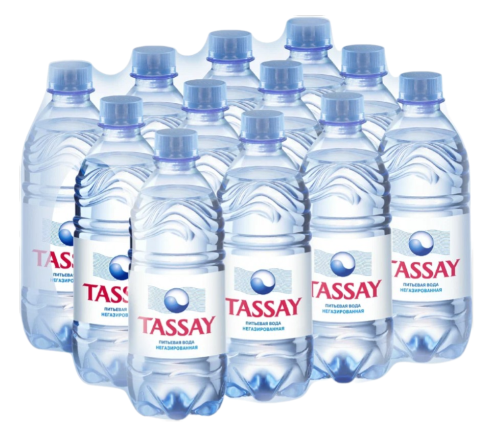 Питьевая вода Tassay негазированная 0,25 л х 12 шт