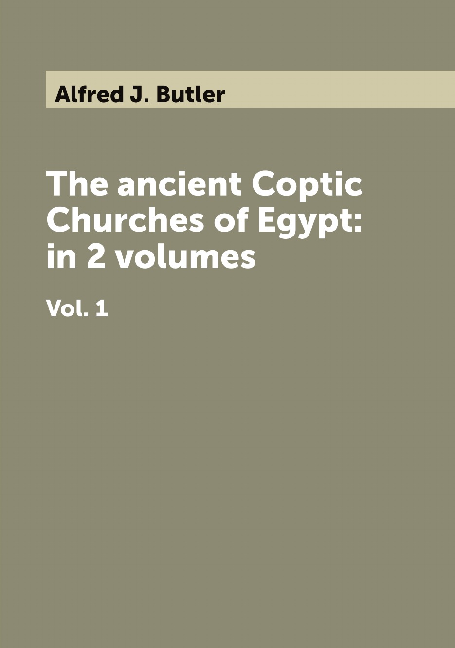 

The ancient Coptic Churches of Egypt: in 2 volumes