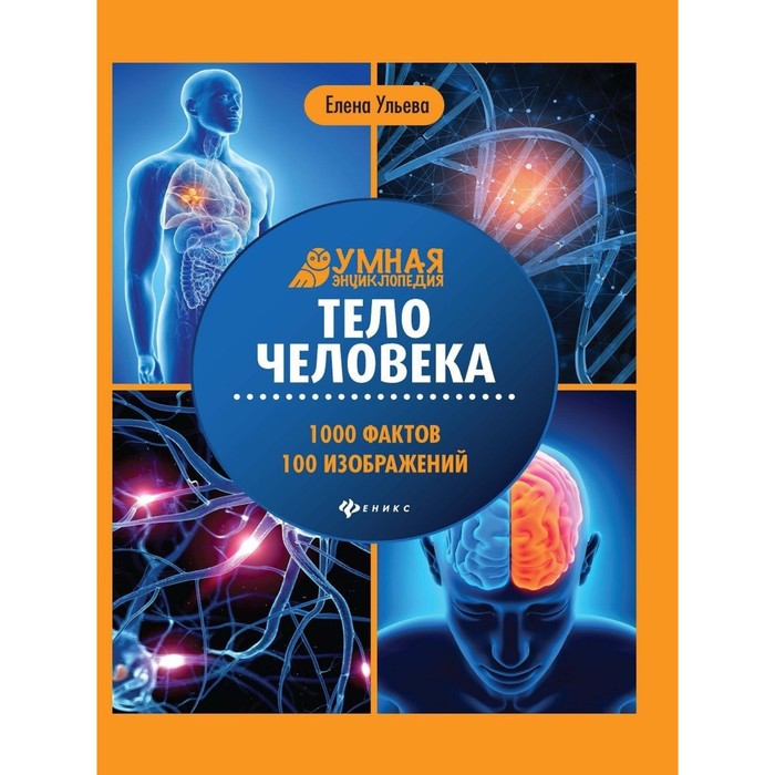 

Книга Энциклопедия «Тело человека»