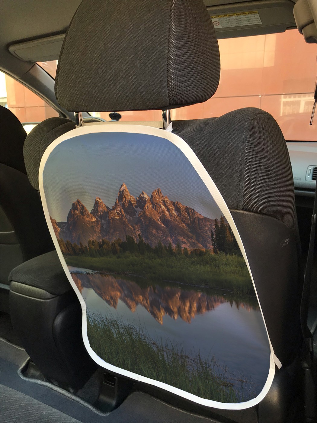 

cspr_102572 Защита на автокресло