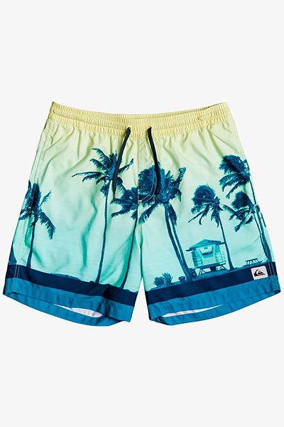 фото Детские плавательные шорты paradise 15" мультиколор 10 years quiksilver eqbjv03281