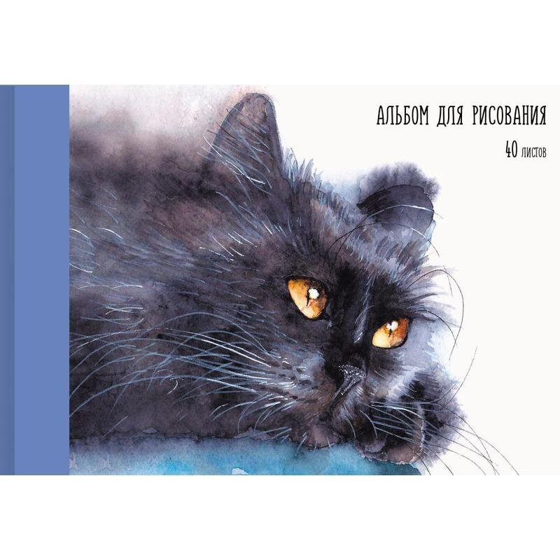 

Альбом для рисования Канц-Эксмо Котик А4 40 листов 1518980, Канц-Эксмо