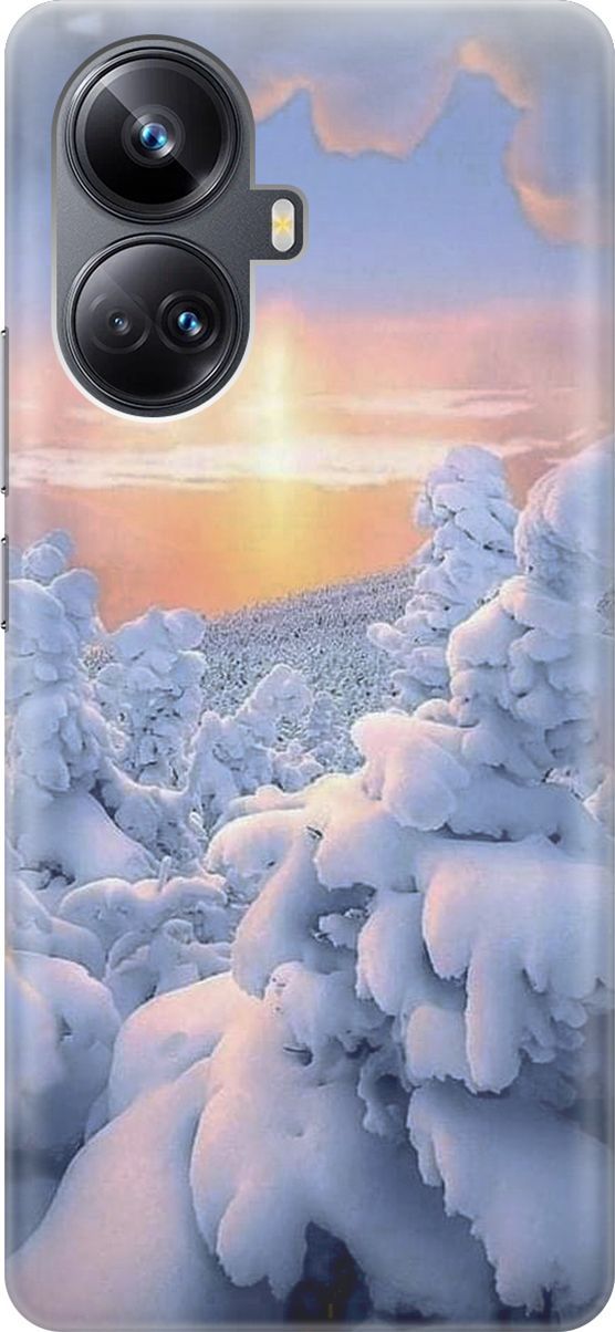 

Силиконовый чехол на Realme 10 Pro+ с принтом "Заснеженный лес", Белый;голубой, 158627