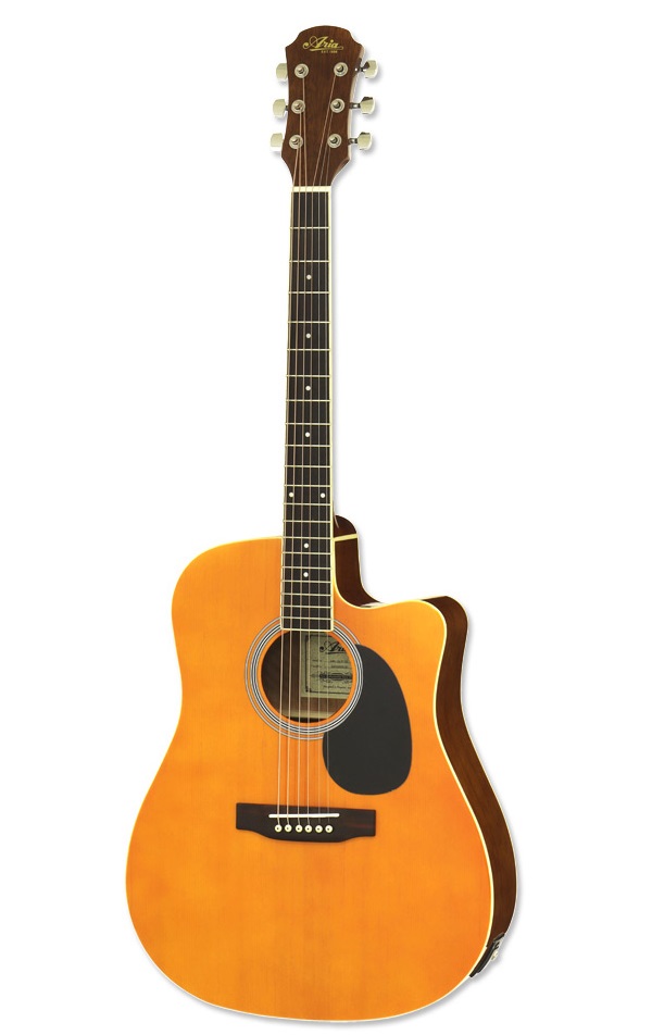 

Электроакустика ARIA AWN-15CE OR