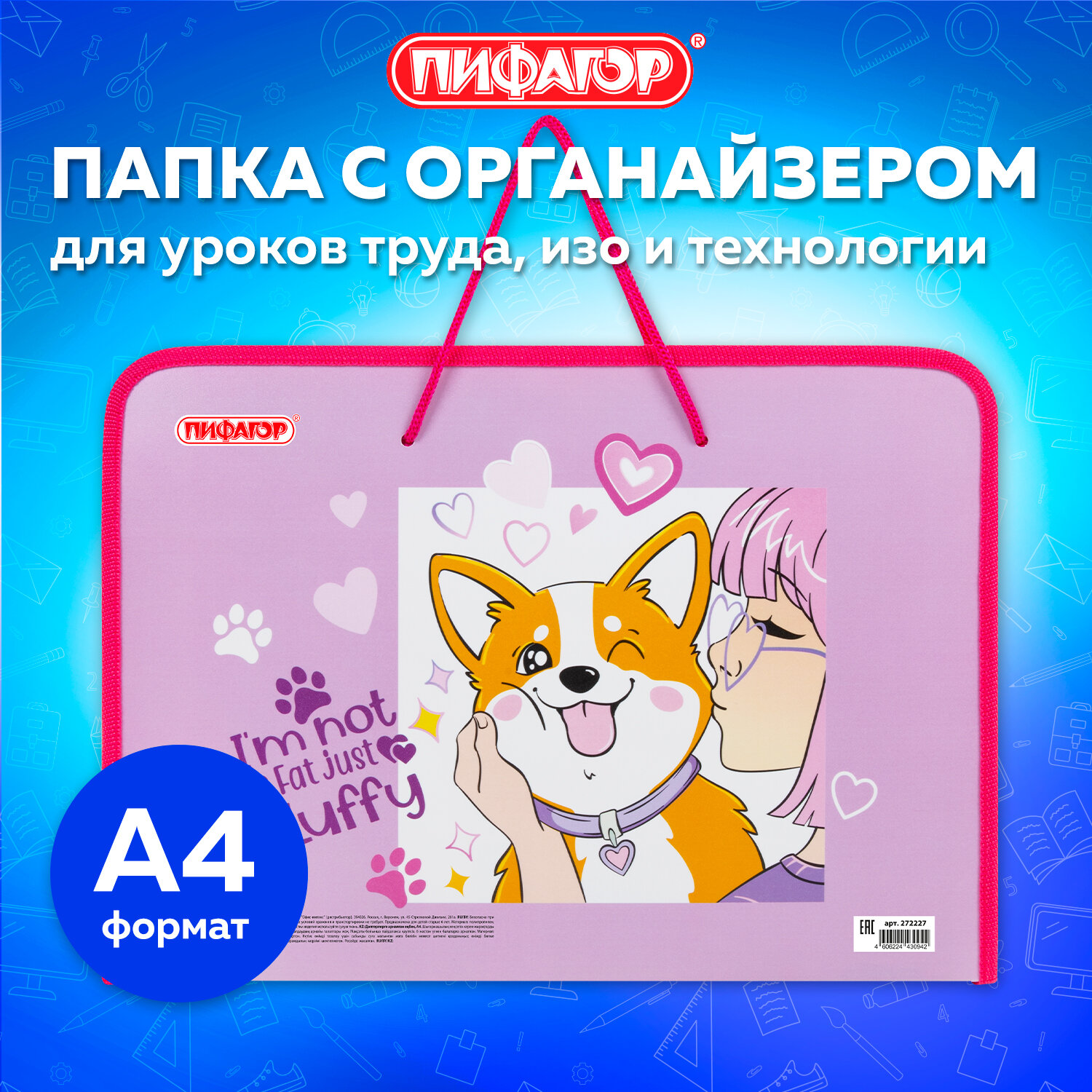 Папка Пифагор Fluffy akita, 272227, для тетрадей, труда, рисования, изо А4 девочке в школу