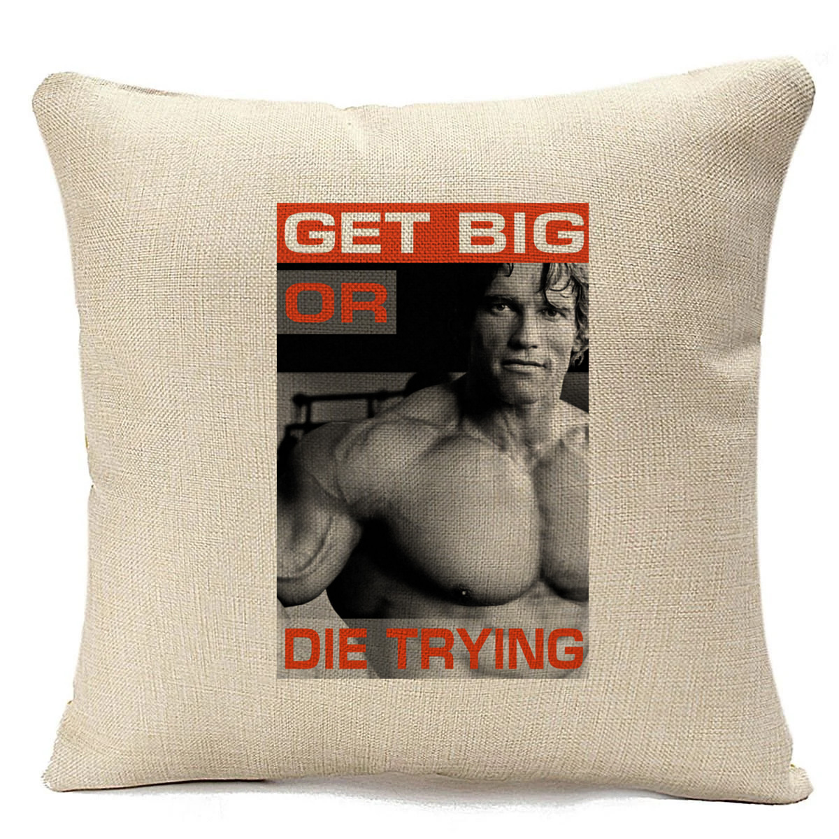 фото Подушка бежевая coolpodarok get big or die trying