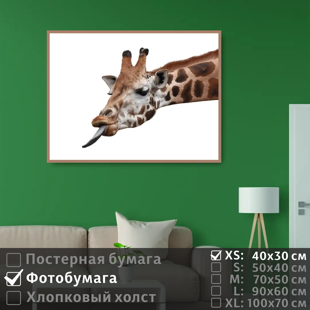 

Постер на фотобумаге ПолиЦентр Забавный жираф 40х30 см, ЗабавныйЖираф