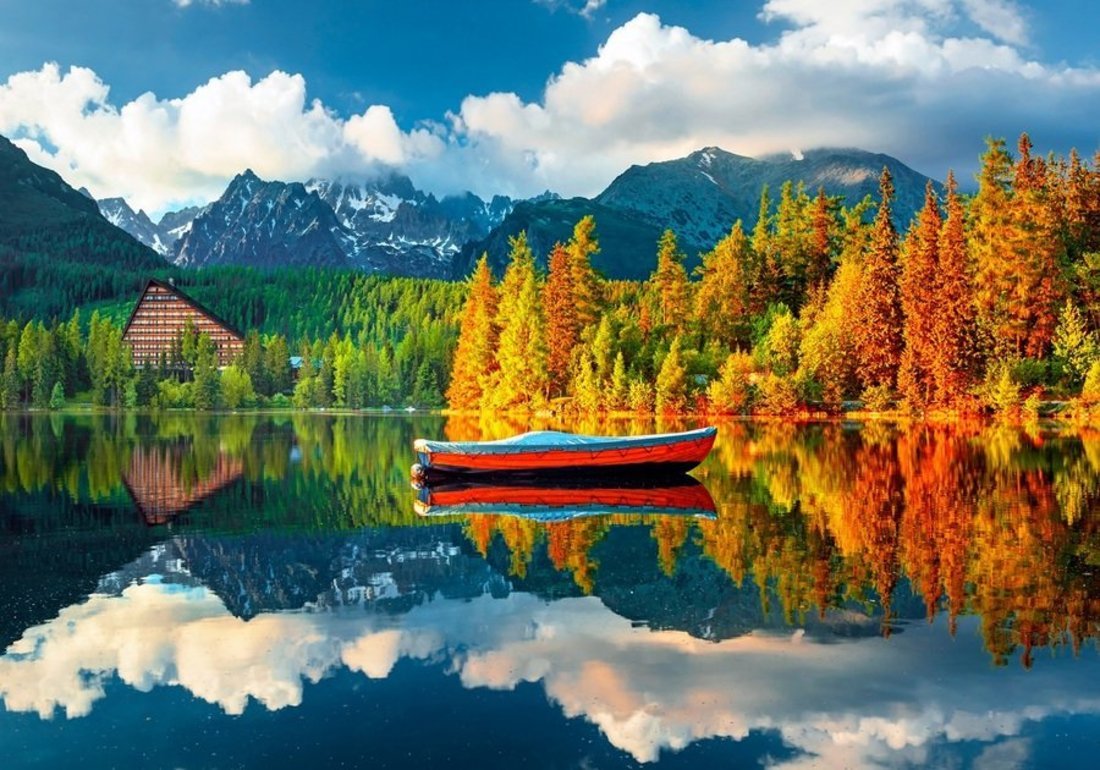 

Алмазная мозаика, Рыжий кот, Природа на закате, AS34051 30х40 см, Природа на закате