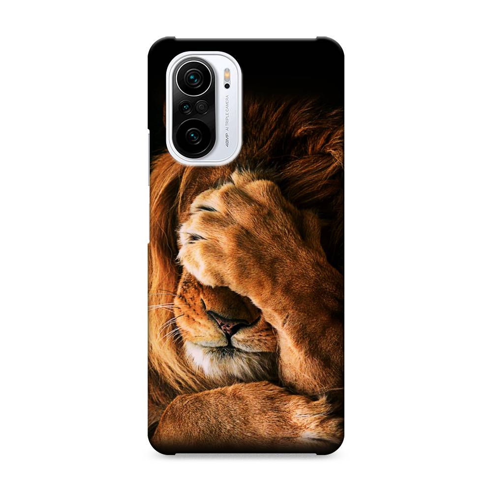 

Пластиковый чехол "Львиный стыд" на Xiaomi Poco F3, 310120-1