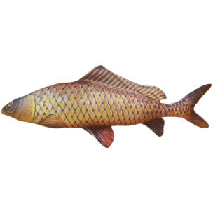 фото Подушка в виде рыбы «сазан» 65 см мнушки