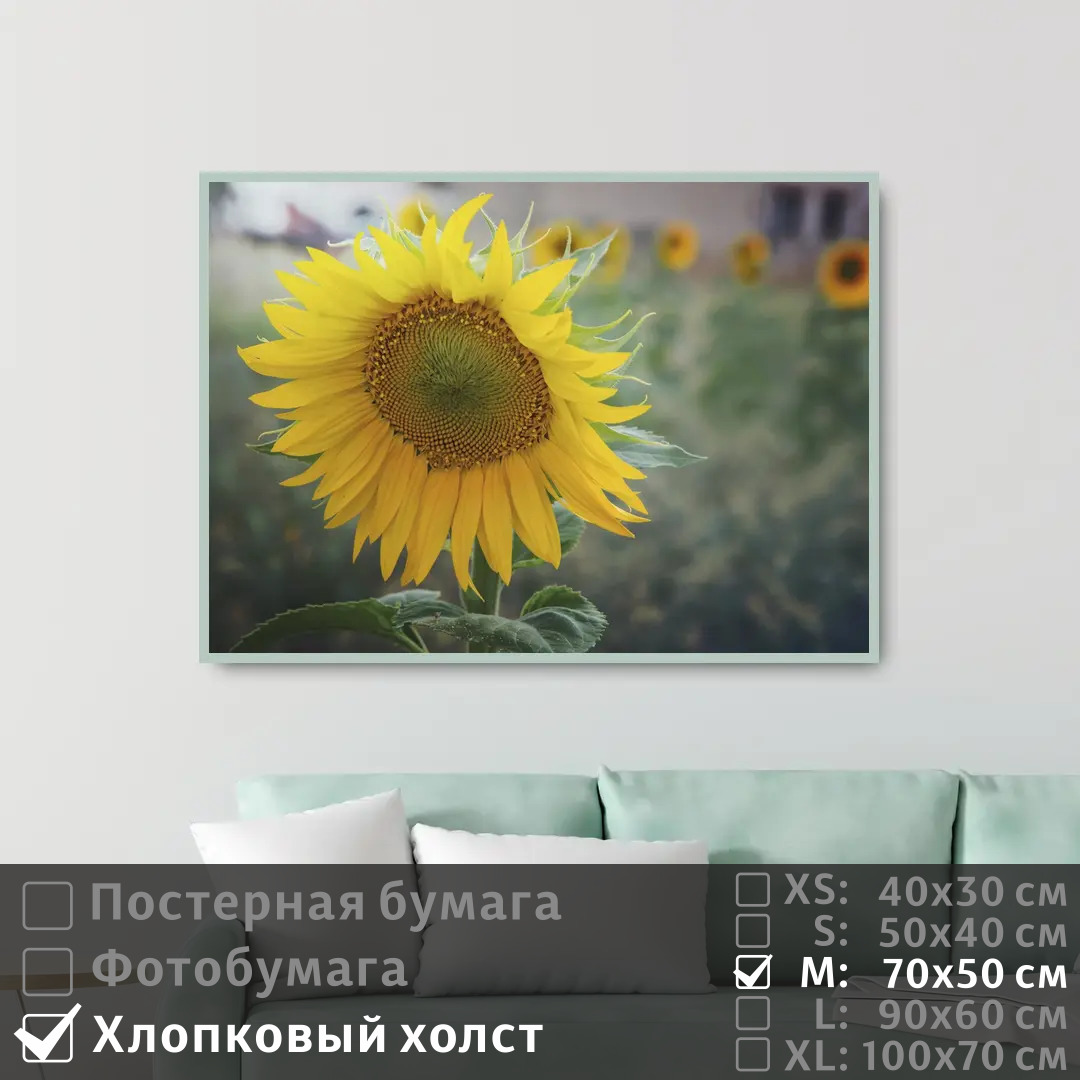 

Постер на холсте ПолиЦентр Подсолнух 70х50 см, Подсолнух