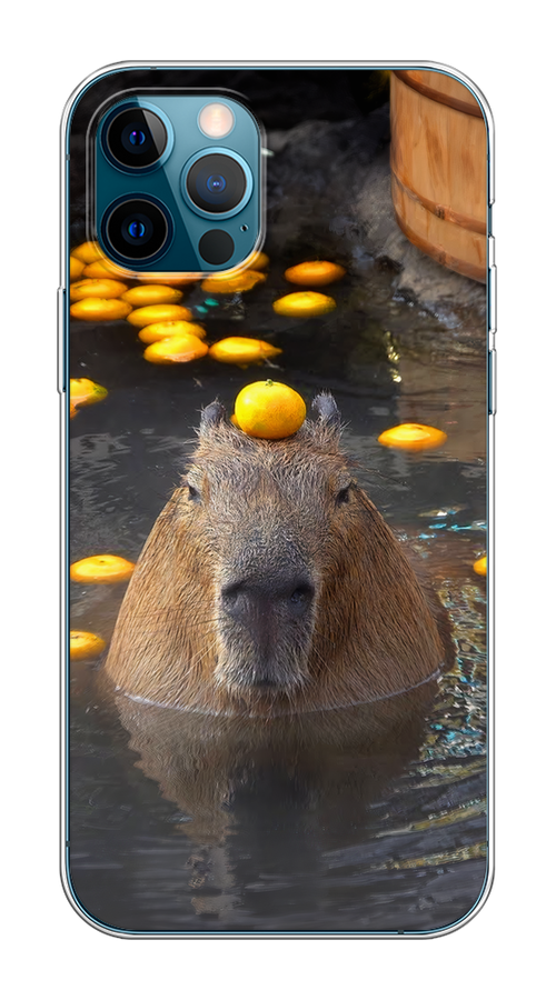 

Чехол Homey на Apple iPhone 12 "Капибара отдыхает", Коричневый;оранжевый;серый, 12550-1