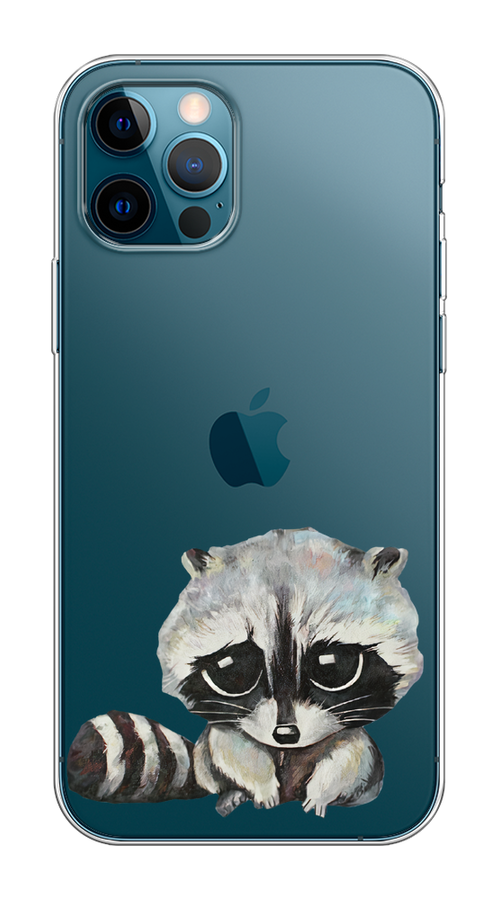 

Чехол Homey на Apple iPhone 12 "Большеглазый енот", Серый;черный;прозрачный, 12550-1