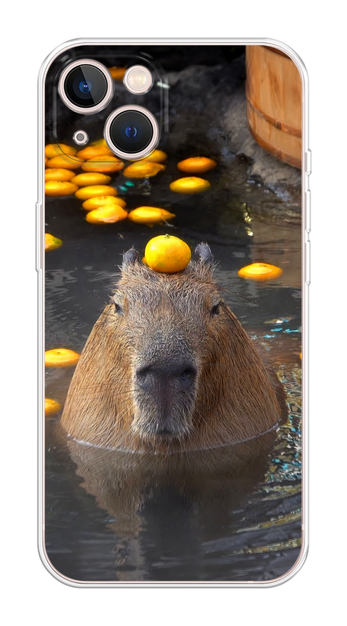 

Чехол Homey на Apple iPhone 13 "Капибара отдыхает", Коричневый;оранжевый;серый, 14250-1