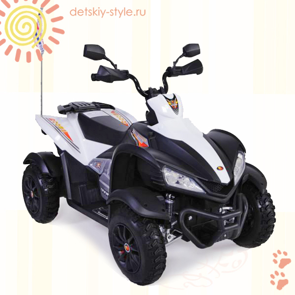 

Квадроцикл ATV DMD-268B (Аккумуляторные квадроциклы)