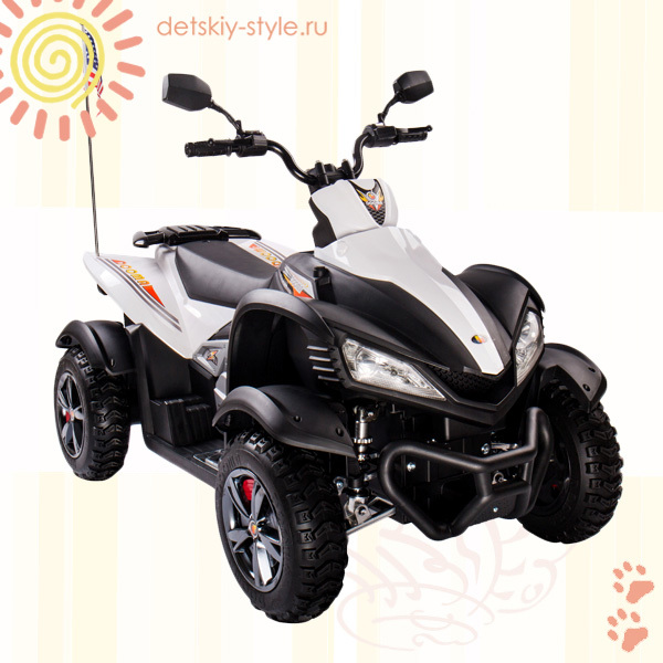 

Квадроцикл Yamaha Raptor BJ268 (Аккумуляторные квадроциклы)