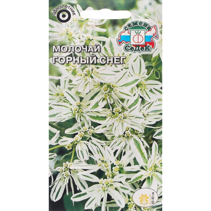 

Семена молочай Горный Снег 7688391-3p 3 уп.
