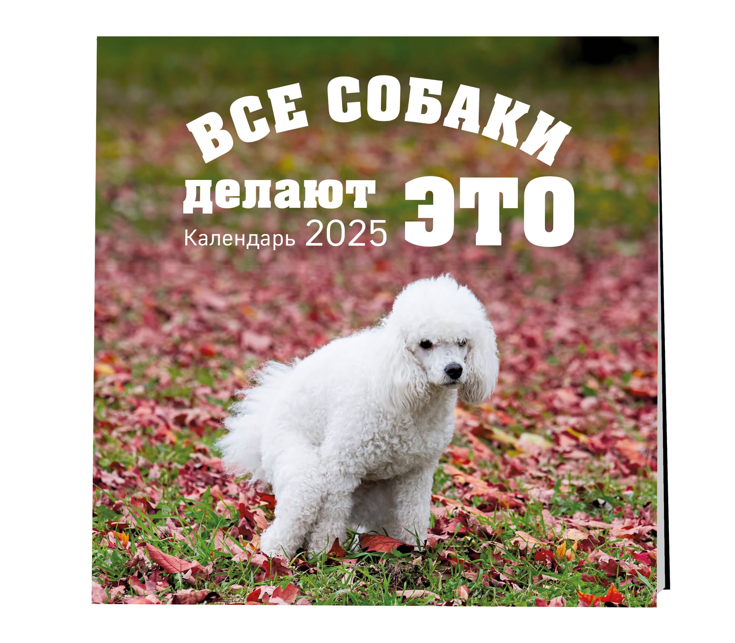 

Календарь Эксмо Все собаки делают это настенный на 2025 год 300х300