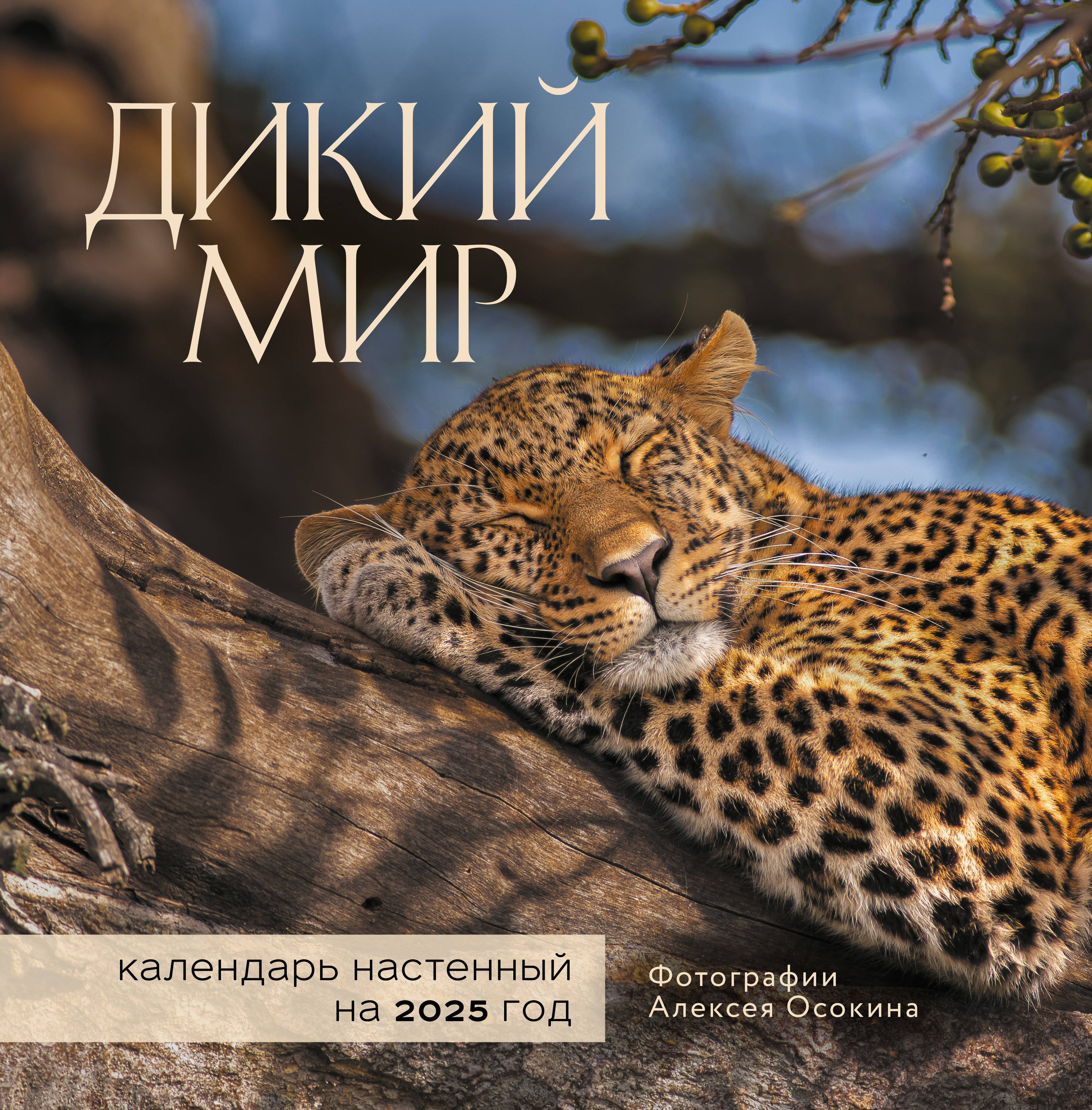 

Календарь настенный 2025 год Эксмо Дикий мир 300х300 мм