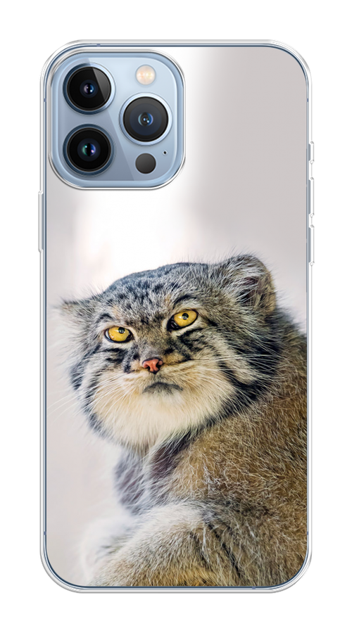 

Чехол Homey на Apple iPhone 13 Pro Max "Кот манул 1", Серый;белый;желтый, 14450-1