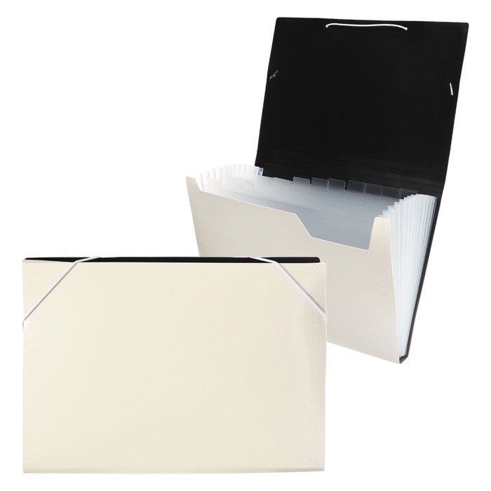 

Папка картотека Calligrata DeLuxe 13 отдел A4 пластик 1,0мм молочный