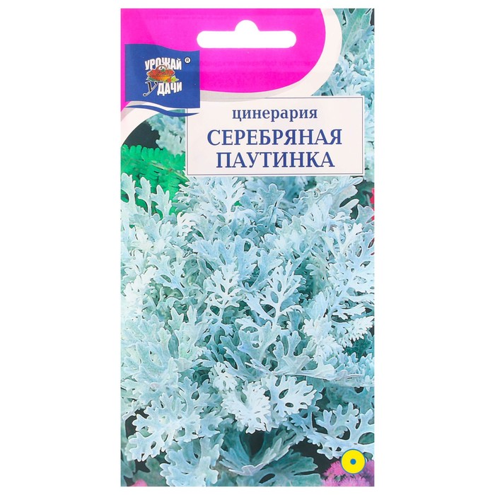 

Семена цинерария Серебрянная Паутина 7643513-2p 2 уп.