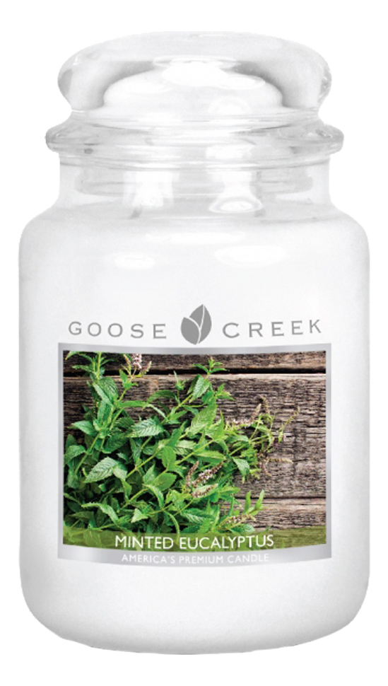 

Ароматическая свеча Goose Creek Minted Eucalyptus Мятный эвкалипт 454г, 344729