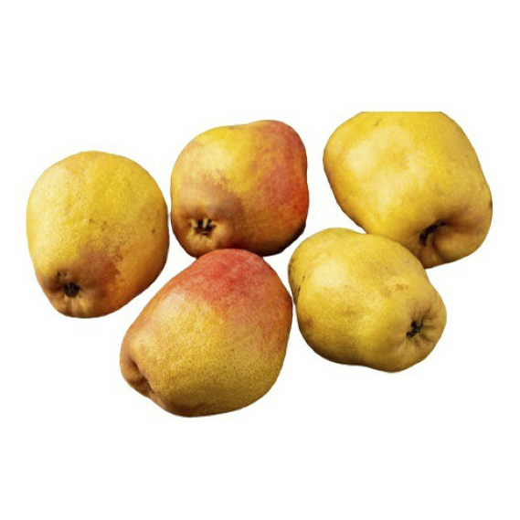 

Груши Маргарита Марилья