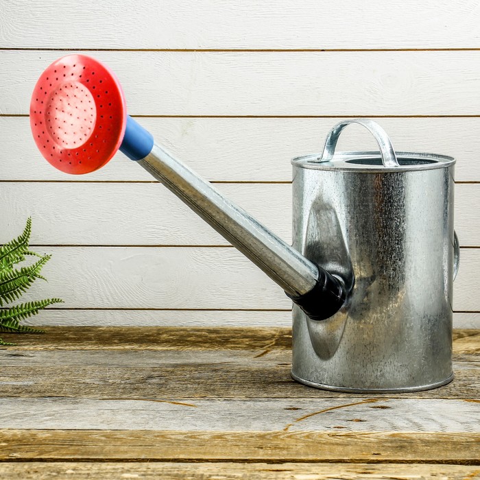

Лейка, 5 л, с рассеивателем, оцинкованная, без рисунка, Серебристый