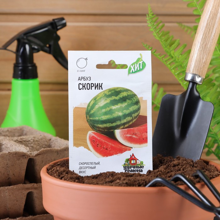 

Семена арбуз Скорик Гавриш 2869388-11p 1 уп.