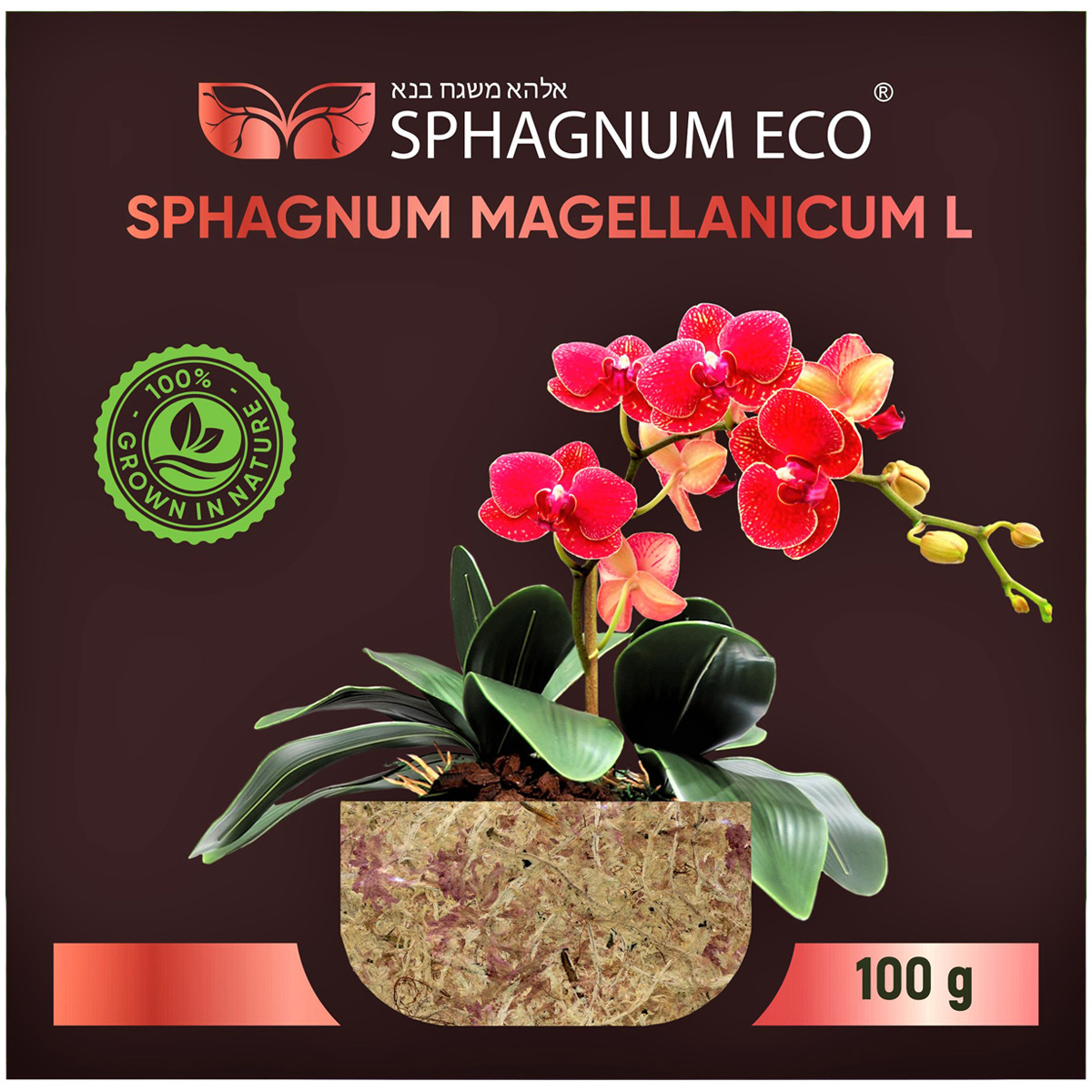 

Мох сфагнум Sphagnum ECO magellanicum L bm0011000 в брикете 0,1 кг, Коричневый;красный, magellanicum