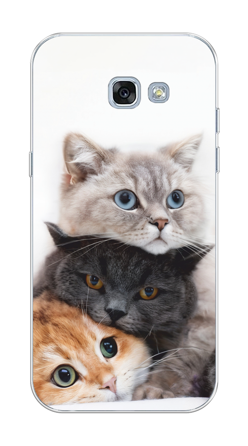 

Чехол на Samsung Galaxy A3 2017 "Пушистые мордашки", Серый;черный;оранжевый, 20350-1