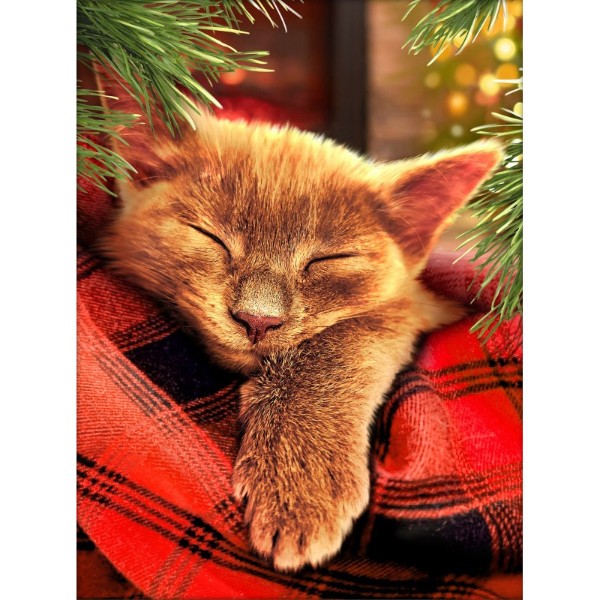 

Алмазная вышивка Спящий кот