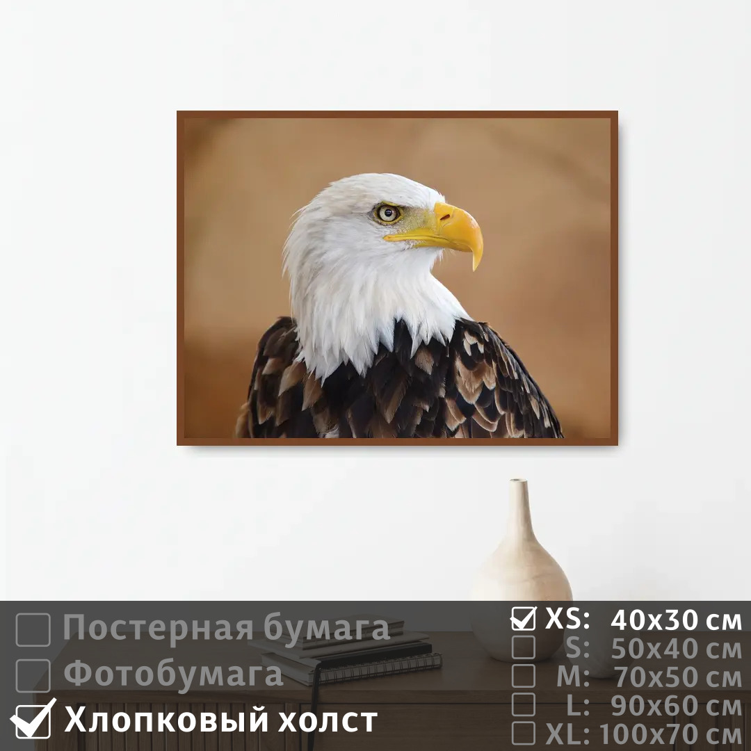 

Постер на холсте ПолиЦентр Белоголовый орел 40х30 см, БелоголовыйОрел