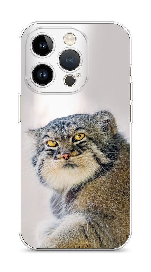

Чехол Homey на Apple iPhone 14 Pro "Кот манул 1", Серый;белый;желтый, 15250-1