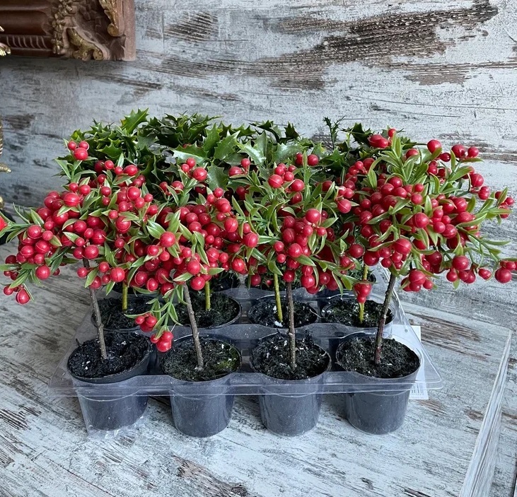фото Искусственные цветы декоративные набор из 12 кашпо с красными ягодами и травой 22 см karlsbach