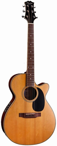 

Акустическая гитара Peerless PGA-50CE, Peerless PGA-50CE