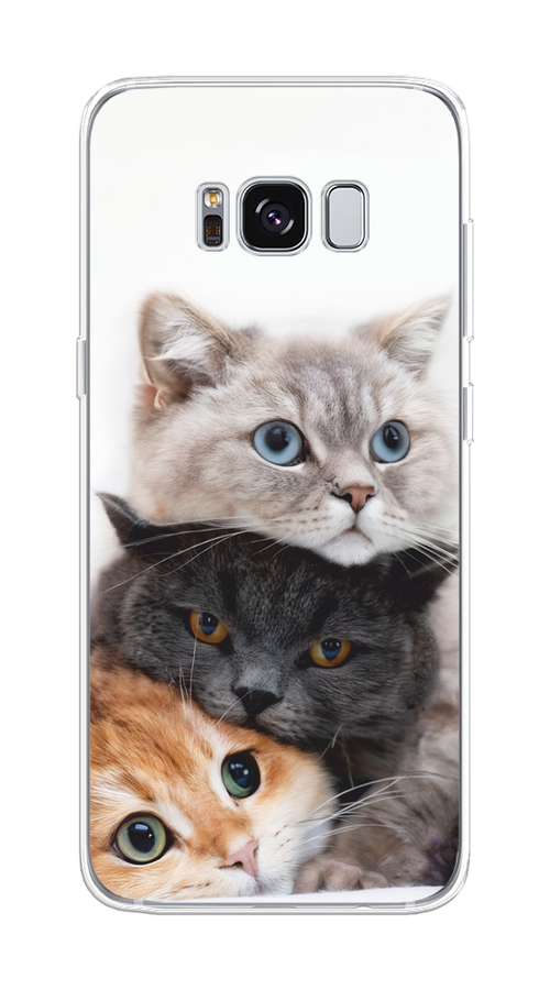 

Чехол на Samsung Galaxy S8 "Пушистые мордашки", Серый;черный;оранжевый, 24750-1