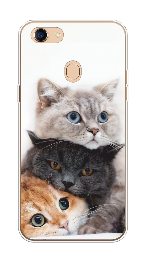

Чехол на Oppo F5 "Пушистые мордашки", Серый;черный;оранжевый, 250250-1
