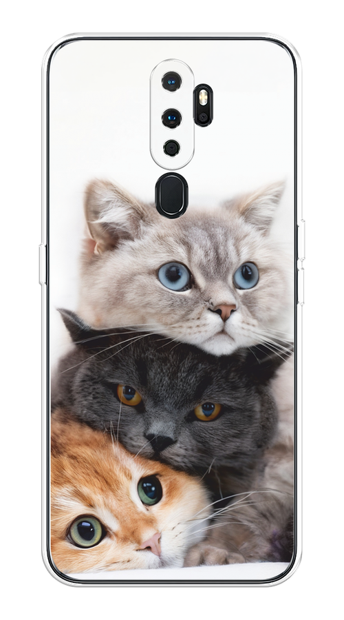 

Чехол на Oppo A5/A9 2020 "Пушистые мордашки", Серый;черный;оранжевый, 251350-1