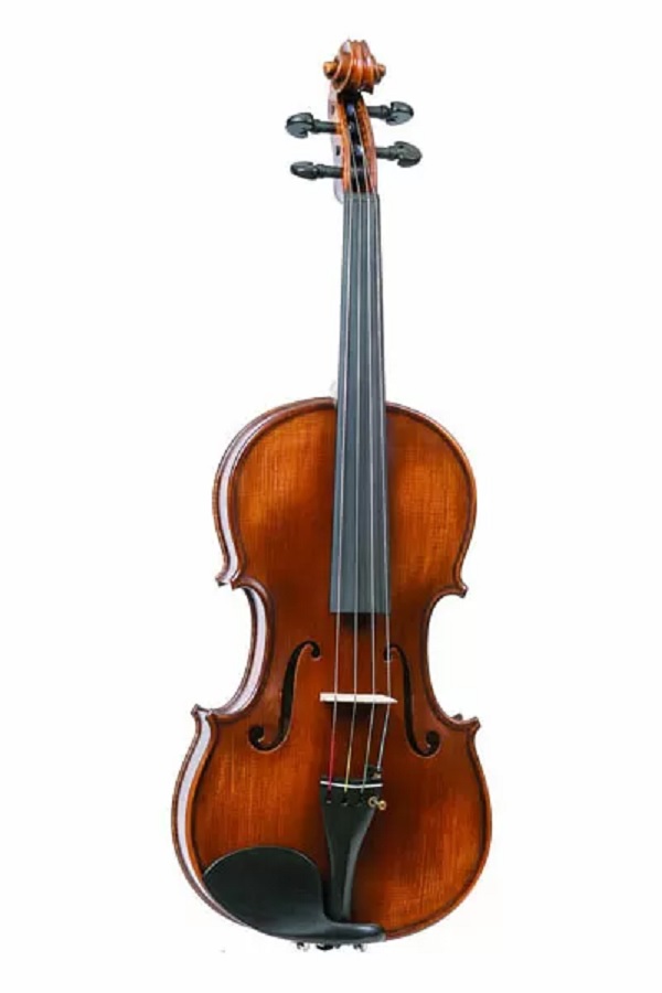 Скрипка Gliga Gama P-V044