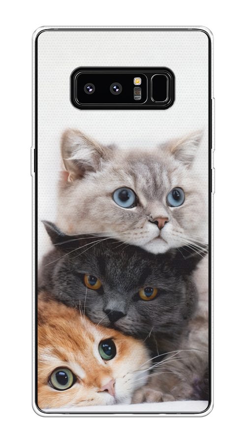 

Чехол на Samsung Galaxy Note 8 "Пушистые мордашки", Серый;черный;оранжевый, 25250-1