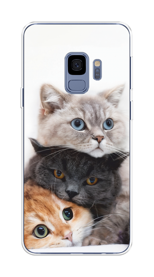 

Чехол на Samsung Galaxy S9 "Пушистые мордашки", Серый;черный;оранжевый, 25750-1