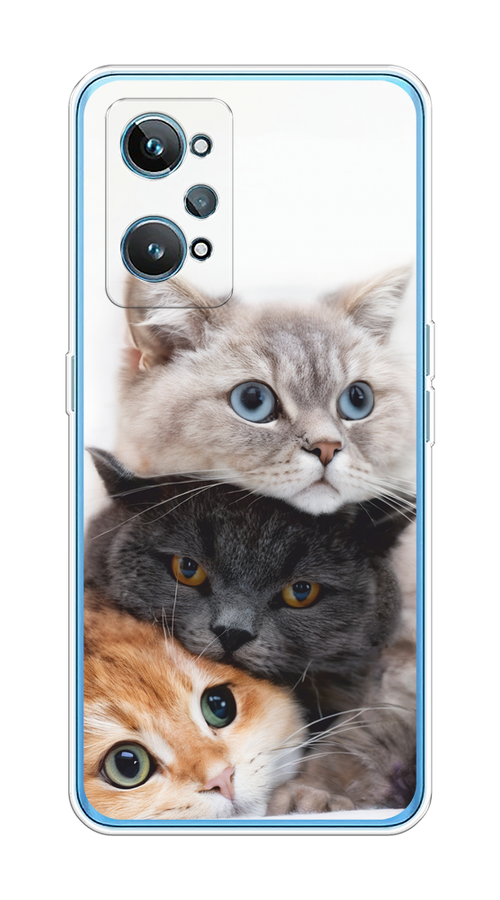 

Чехол на Realme GT 2 "Пушистые мордашки", Серый;черный;оранжевый, 258550-1