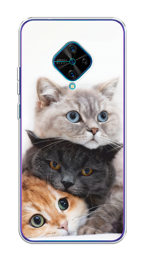 

Чехол на Vivo V17/Y9s "Пушистые мордашки", Серый;черный;оранжевый, 261550-1