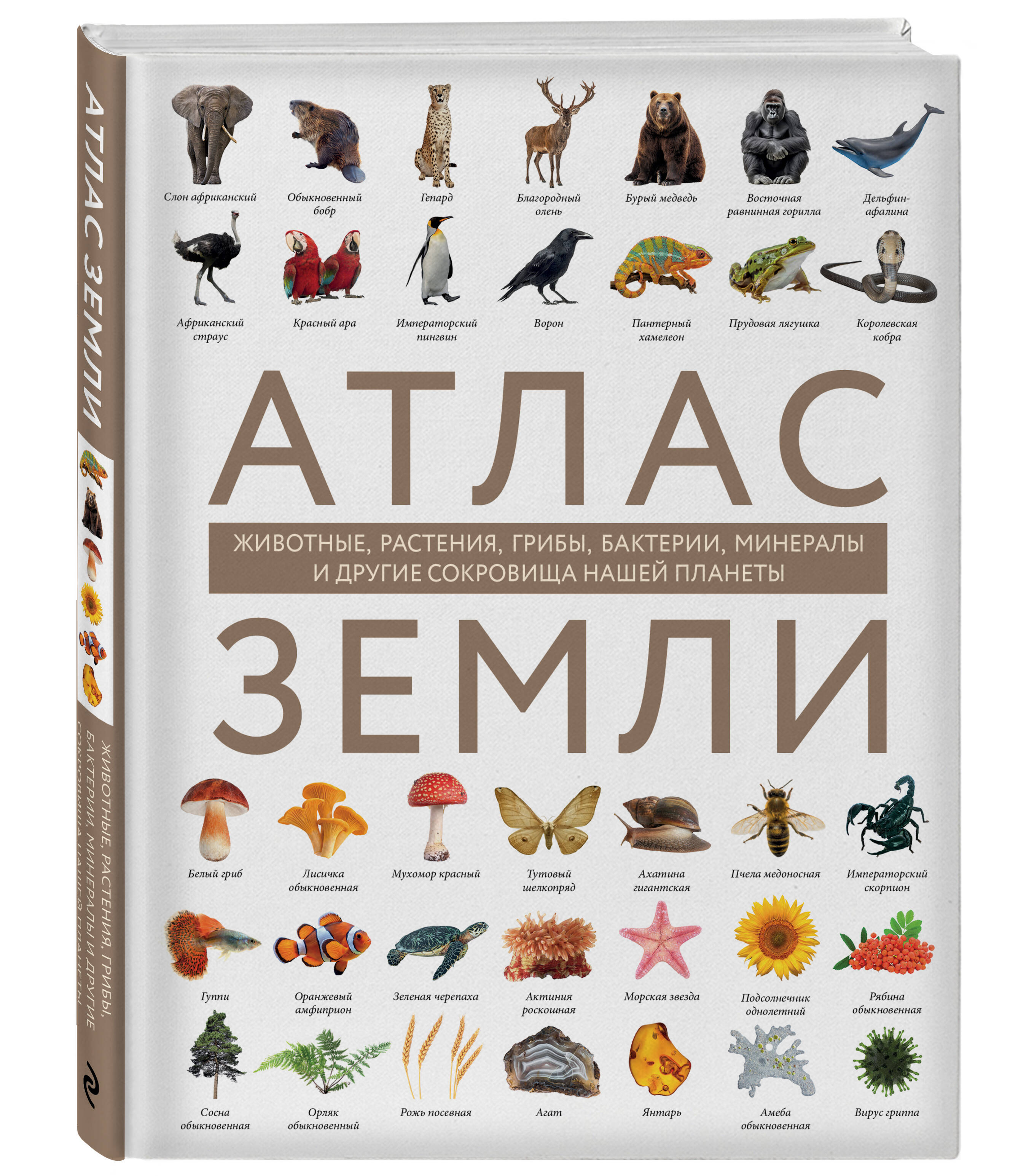 

Атлас Земли Животные, растения, грибы, бактерии, минералы и другие сокровища