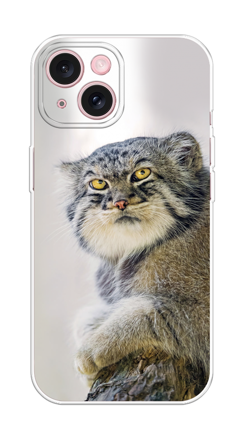 

Чехол Homey на Apple iPhone 15 "Кот манул 1", Серый;белый;желтый, 15550-1