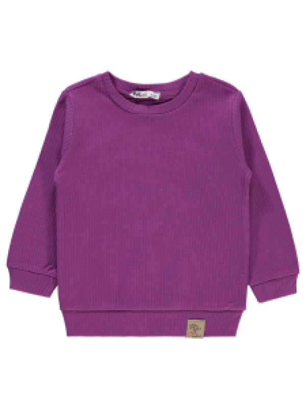 

Свитшот Civil 197857112K21-1, 4-5 лет, пурпурный (доставка из-за рубежа), 197857112K21