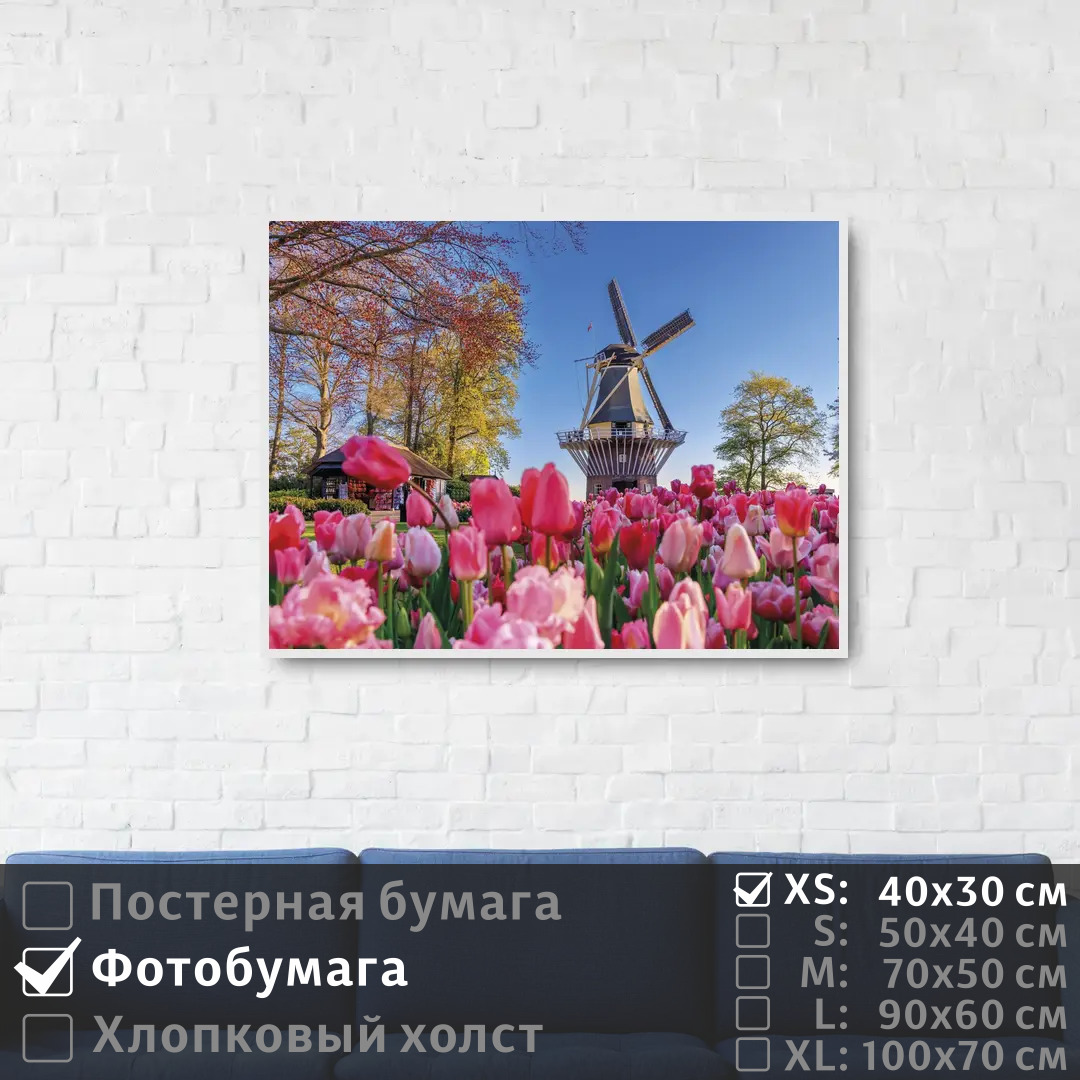 

Постер на фотобумаге ПолиЦентр Тюльпаны в саду с мельницей 40х30 см, ТюльпаныВСадуСМельницей